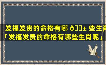 发福发贵的命格有哪 🐱 些生肖「发福发贵的命格有哪些生肖呢」